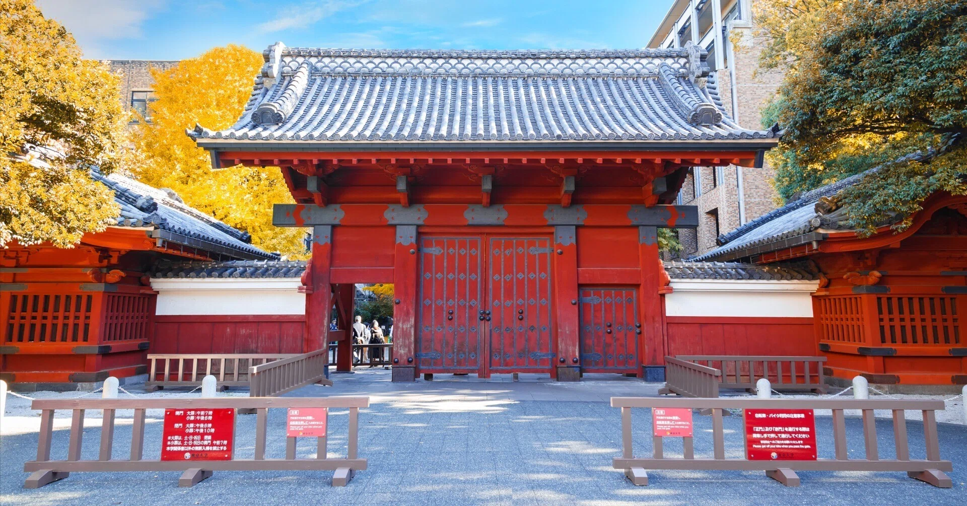 大学受験マンガ「ドラゴン桜2」を語る｜akira/中学受験Walker