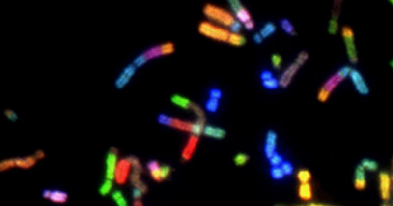 コロナワクチン汚染DNAのヒト細胞株ゲノムへの統合
