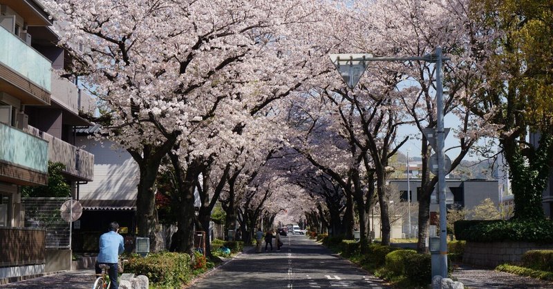 人事異動の時期。出会い別れの季節。異動について思うこと。