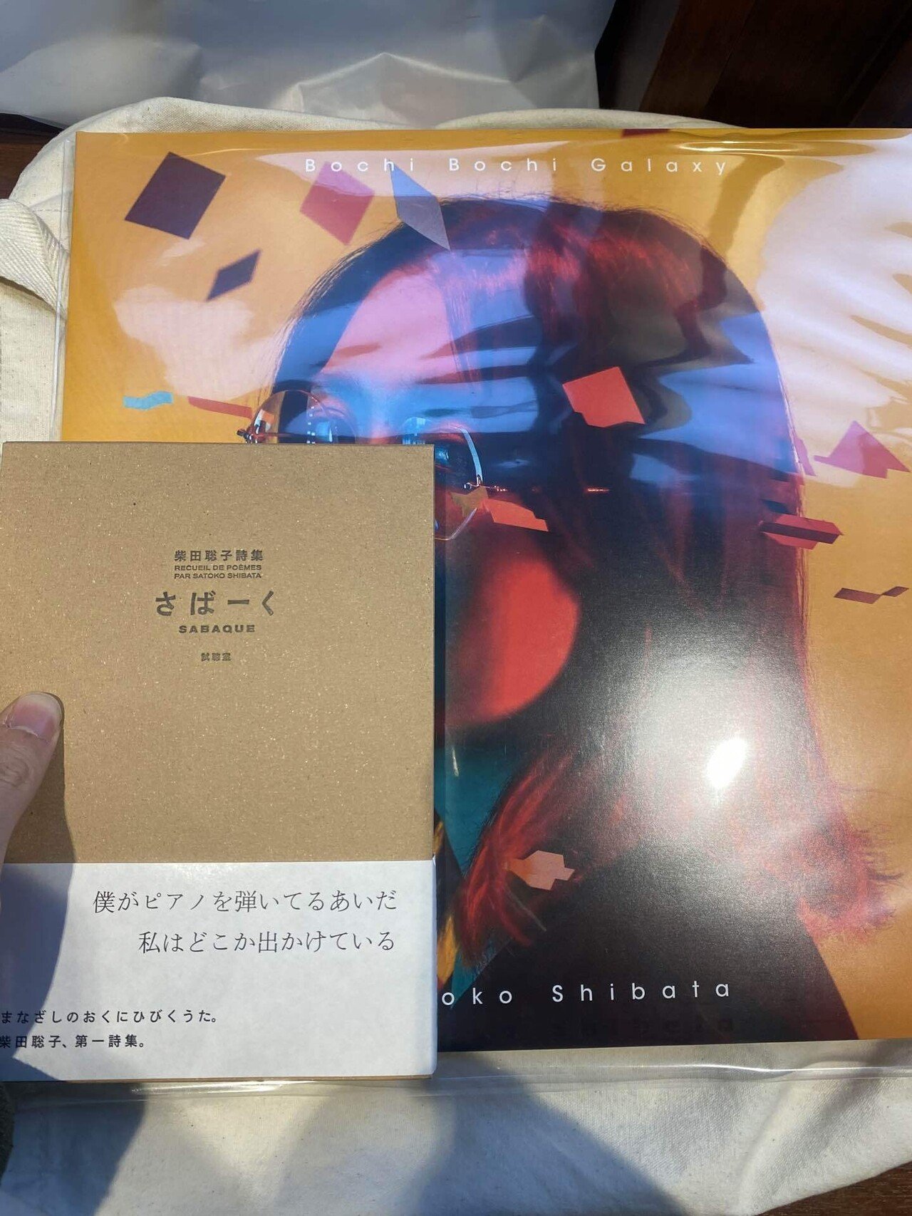 セットリストネタバレあり]柴田聡子のライブに行った話｜ロージー