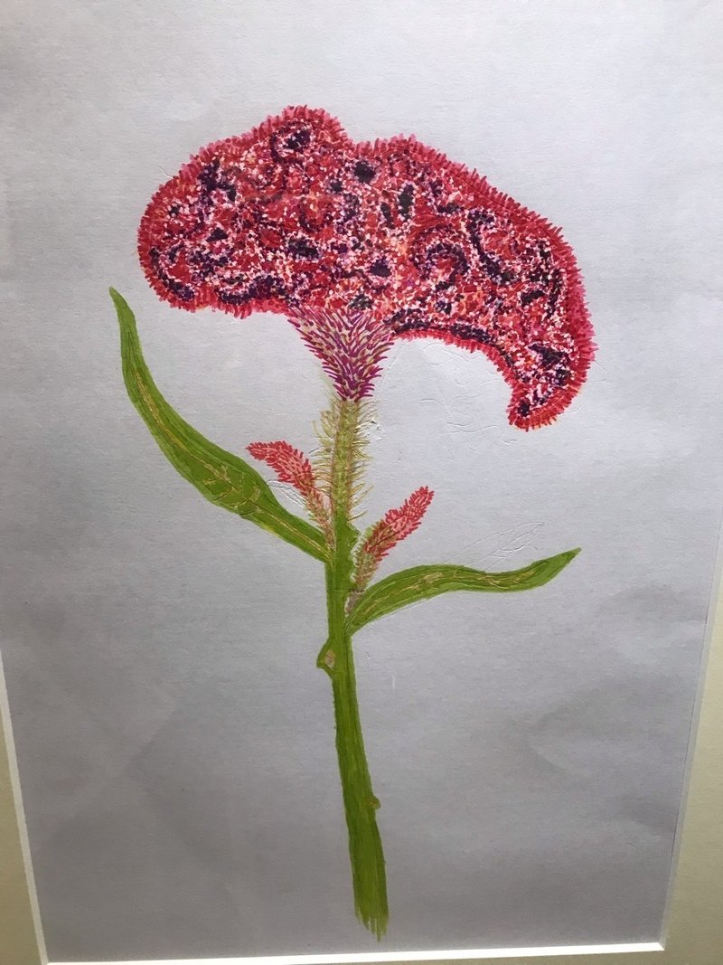 植物画コンクール入選作品展見てきました マンボウ Note 植物画コンクール入選作品展見てきました マンボウ Note