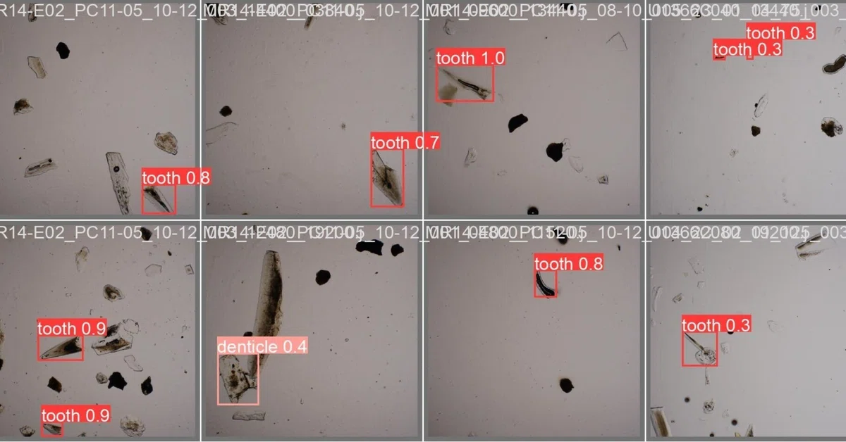 Training the YOLOv9 object detection model with a custom dataset｜mim