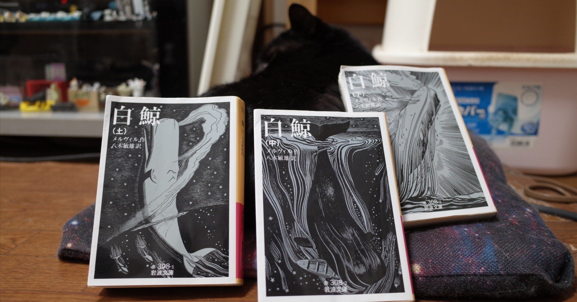 白鯨」読書感想文｜笠原 英二（単行本が文庫本に見える手を持つ男）