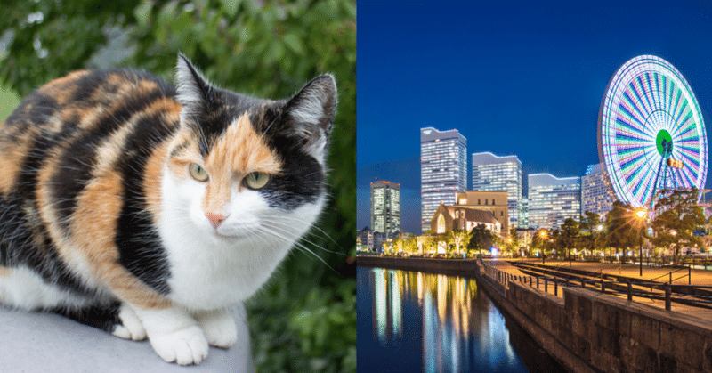 【ねこイベントレポート】猫に優しい保護活動を広める。猫から目線×横浜市栄区のタッグ