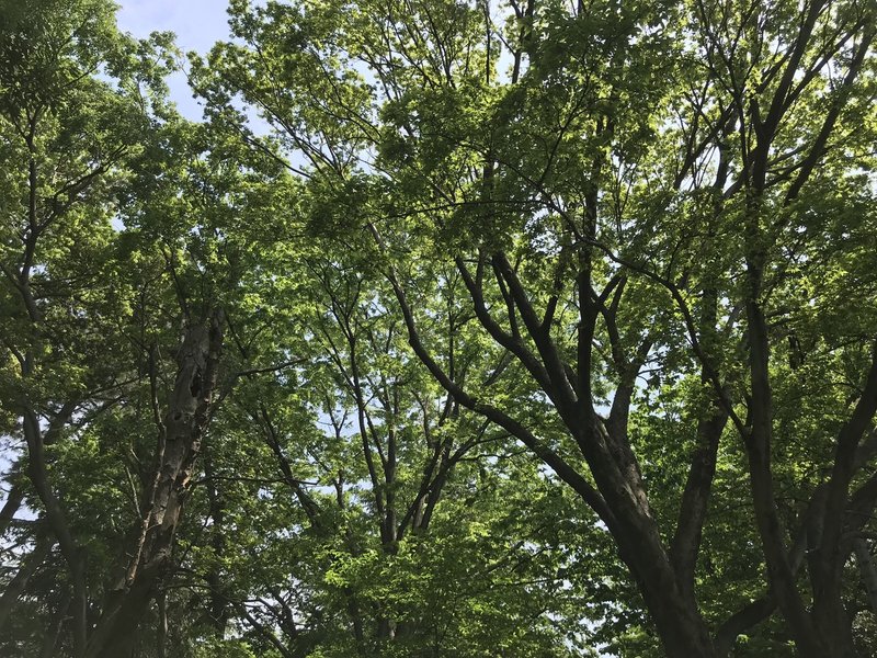 心と身体について 丸山 篤郎 Note