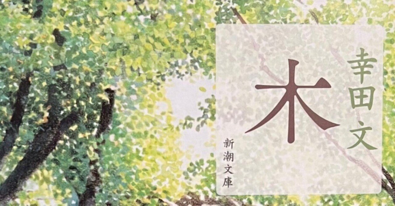 木 木