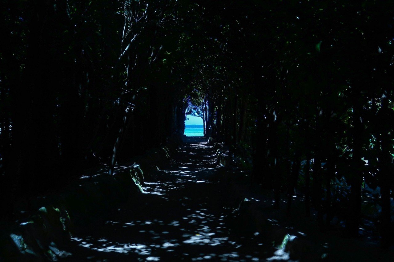 私には私の道がある 正しい道 正確な道 唯一の道というものは存在しない