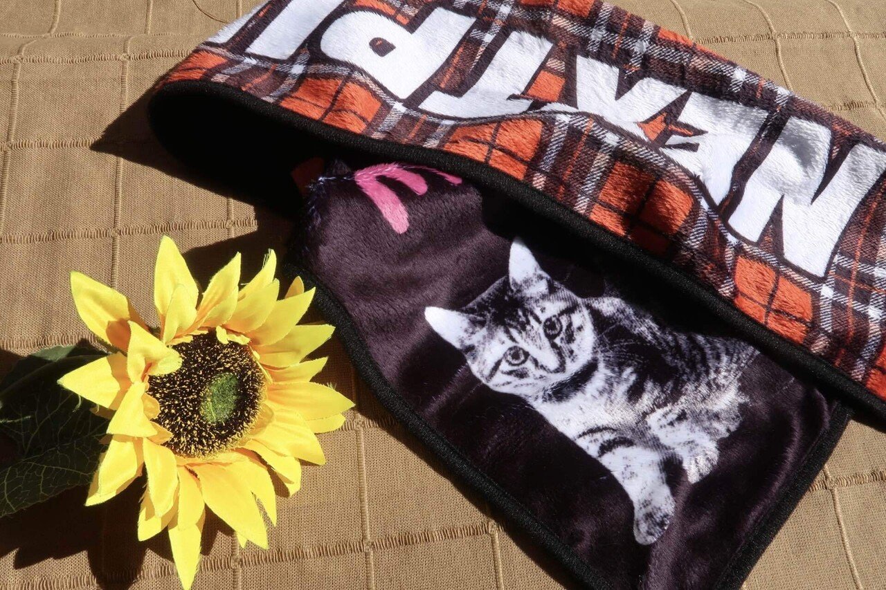 【入手困難】期間限定出品 SOPHIA 黒柳能生 TCP リバーシブルタオル TCP🐾大阪城ホール｜黒柳 能生 公式note