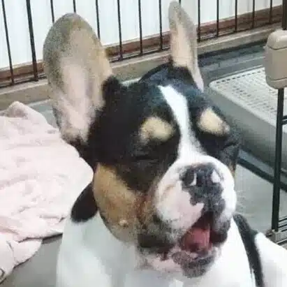 KPY