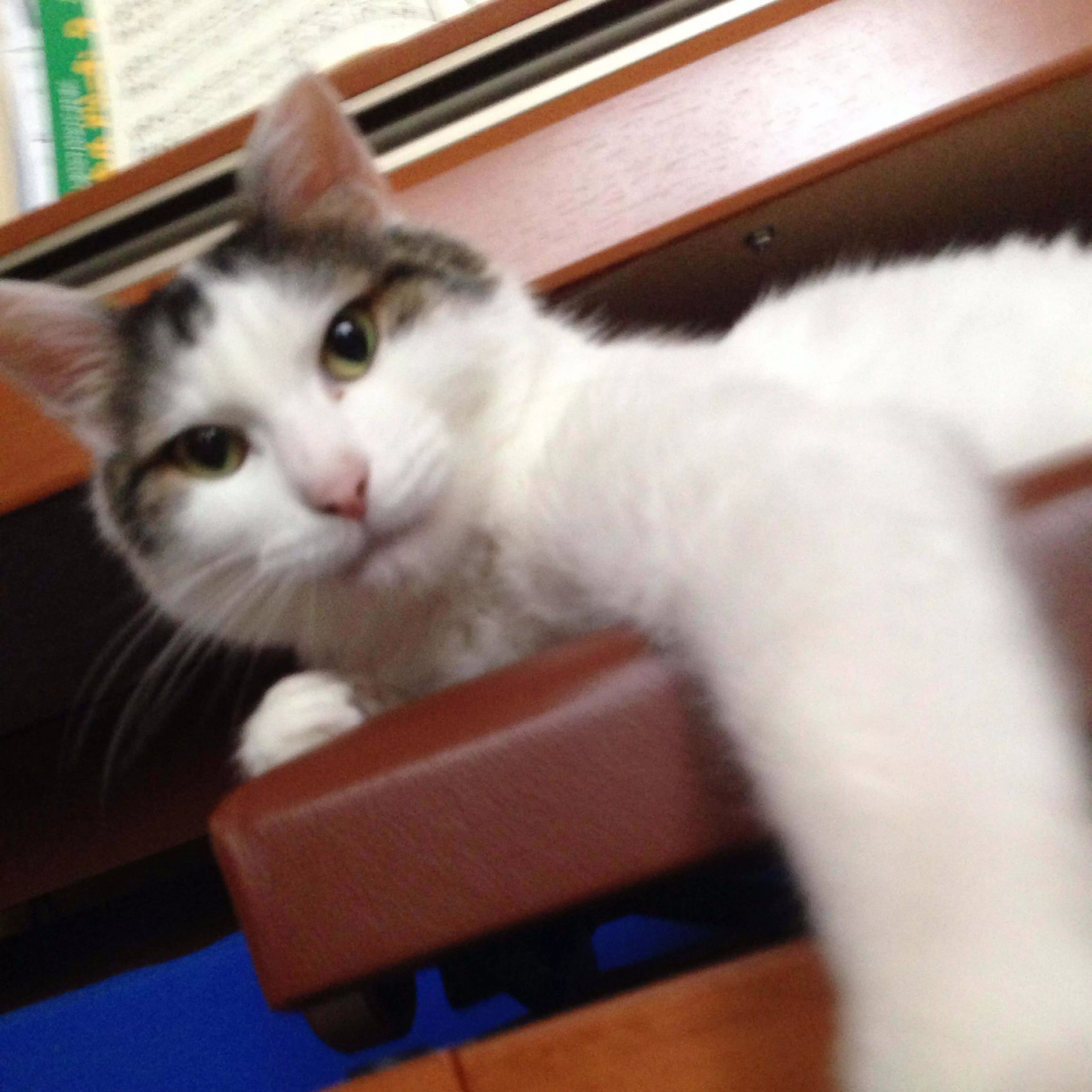 イシキベヤスナリ