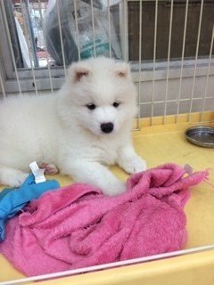 高校野球 きょうた Note 高校野球 きょうた Note