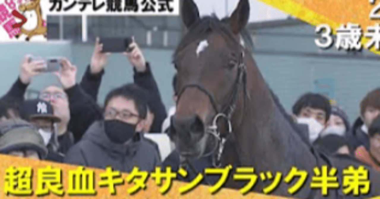 競馬　新聞記事　セット　ドゥラメンテ、レイデオロ、オルフェーヴル他　ウマ娘 オルフェーヴル (CV. 日笠陽子) - OTOTOY