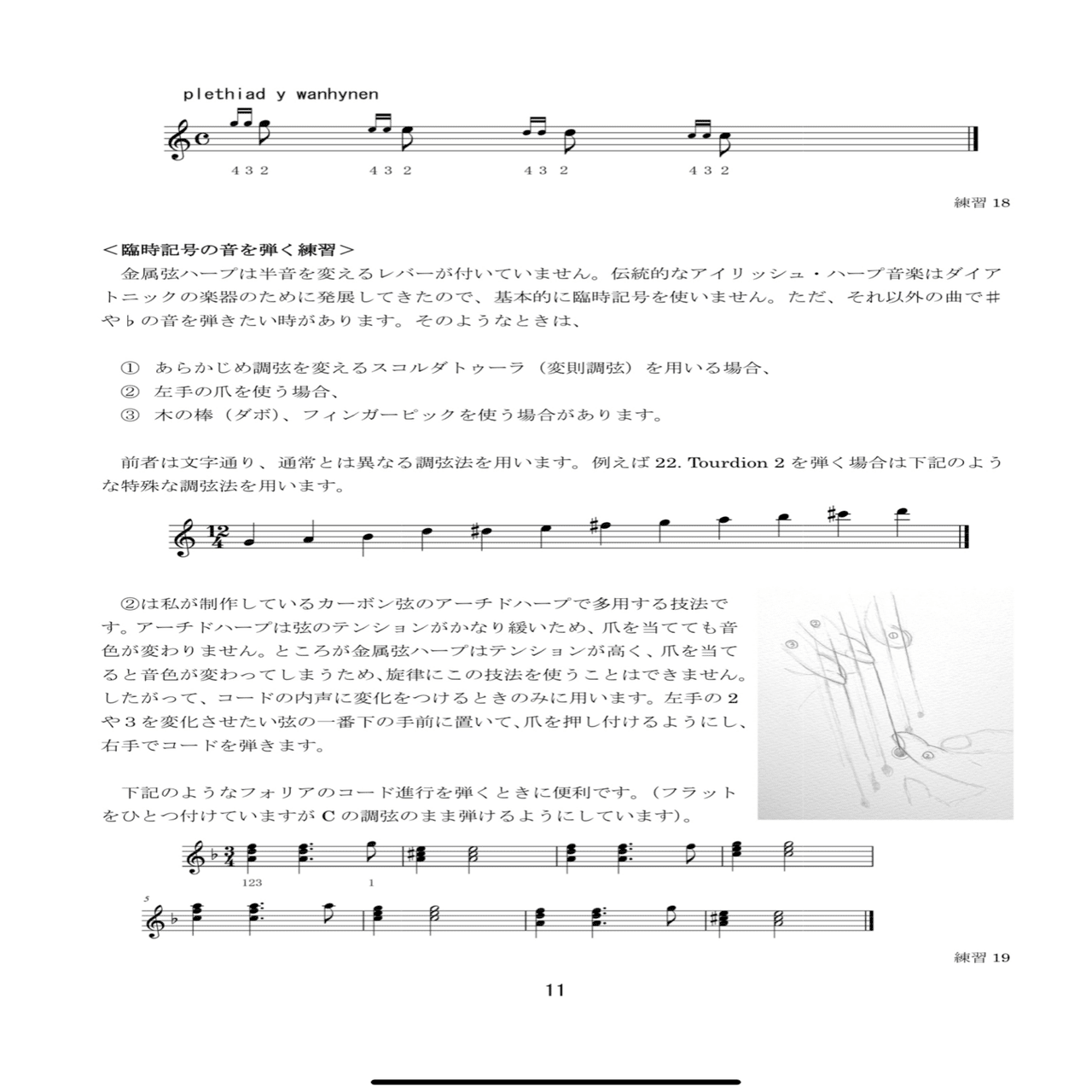 基礎からはじめる12弦金属弦ハープ 20の練習と24の曲集』寺本圭佑編著