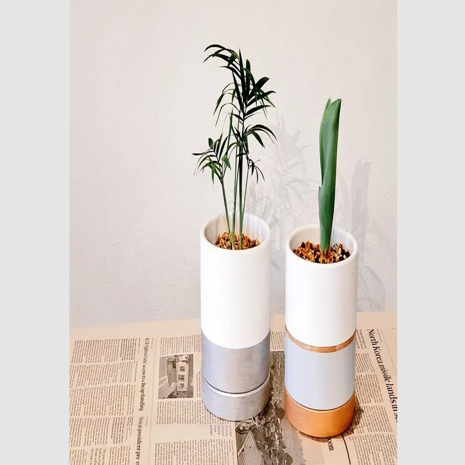 観葉植物用の鉢をDIYする｜Kyoko Hashimoto