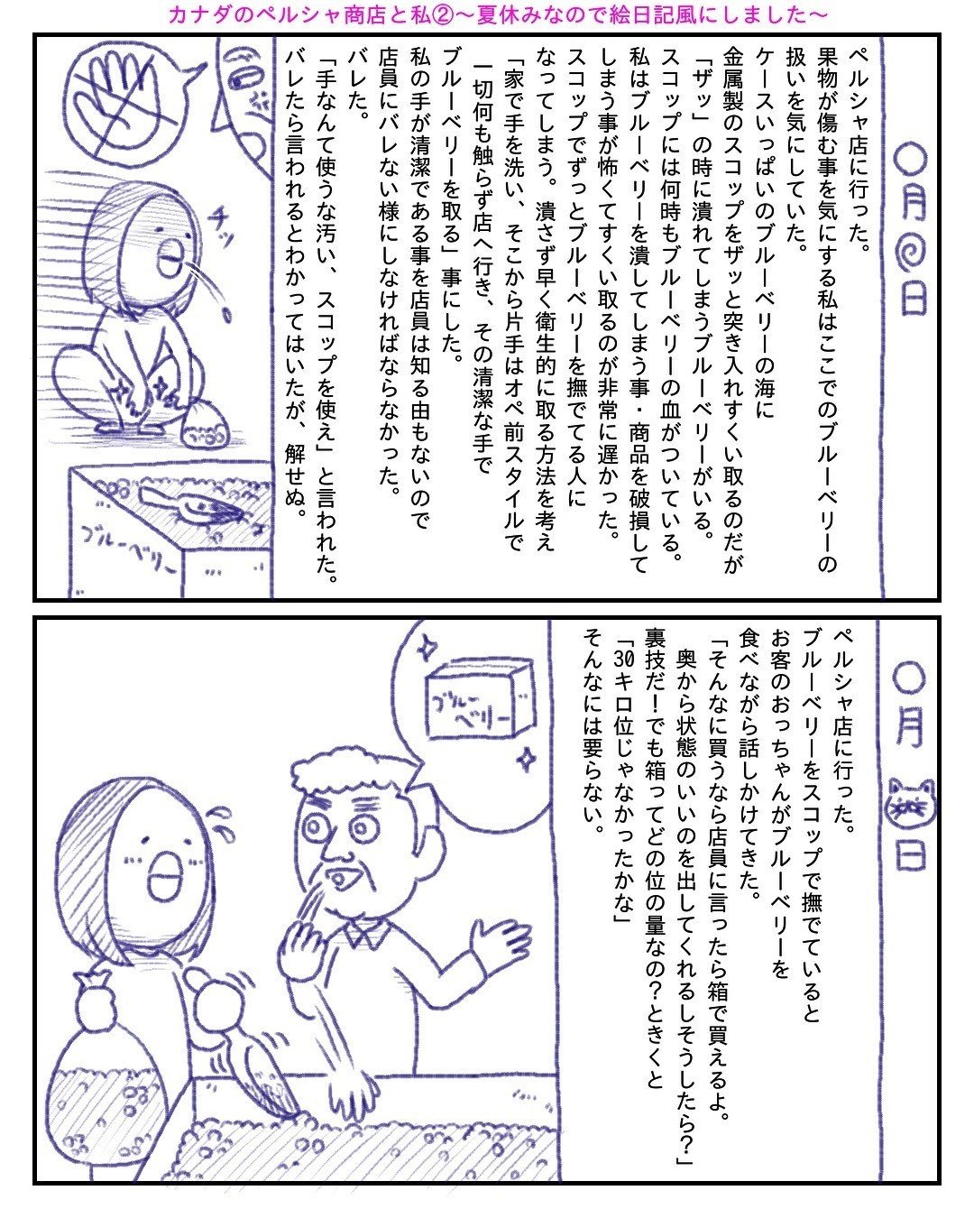 カナダのペルシャ商店と私 夏休みなので絵日記風にしました 武村沙紀 Cakes連載中 Note