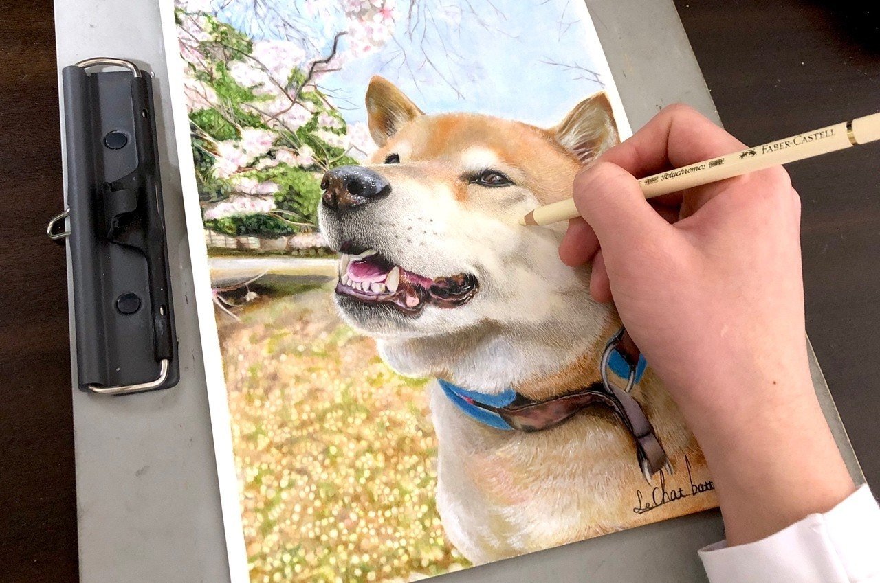 自筆の水彩色鉛筆画です 我が家の柴犬を描きました題して その寝方しんどくない Www Vetrepro Fr