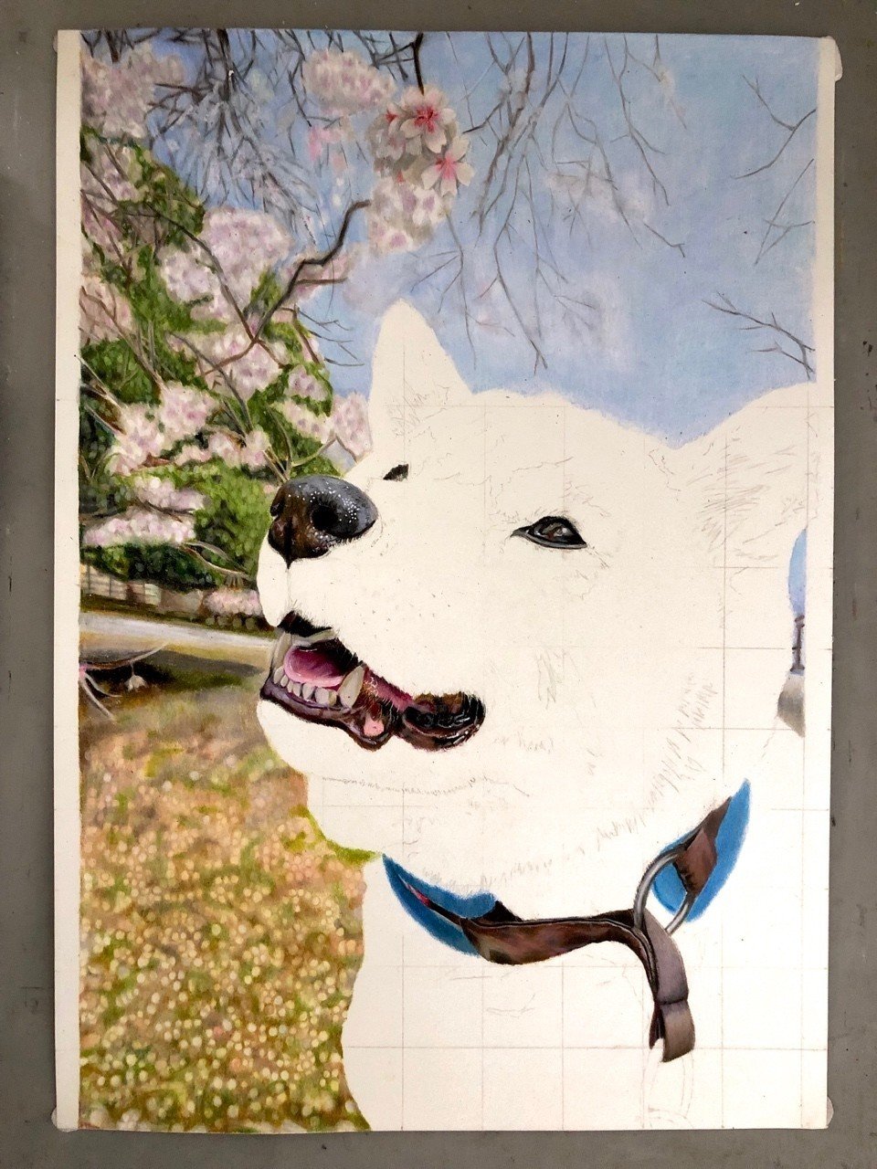 国内外の人気 自筆の水彩色鉛筆画です 我が家の柴犬を描きました題して その寝方しんどくない アート 写真