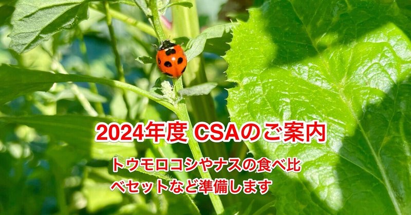 2024年度のCSAのご案内