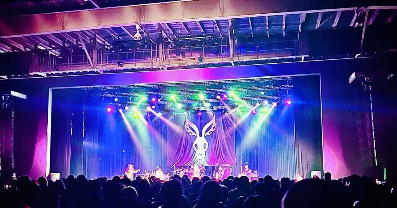 Mr.Bungleと私｜高橋ケ無