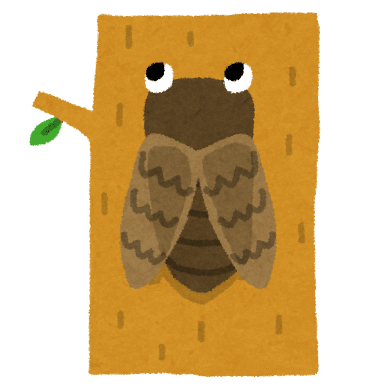 蝉の一生は1週間ではありませんが もっとハードなものです みそじ Note