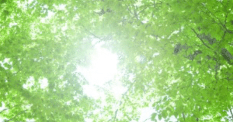保育園の園児たちの可愛い発言 Karen Note
