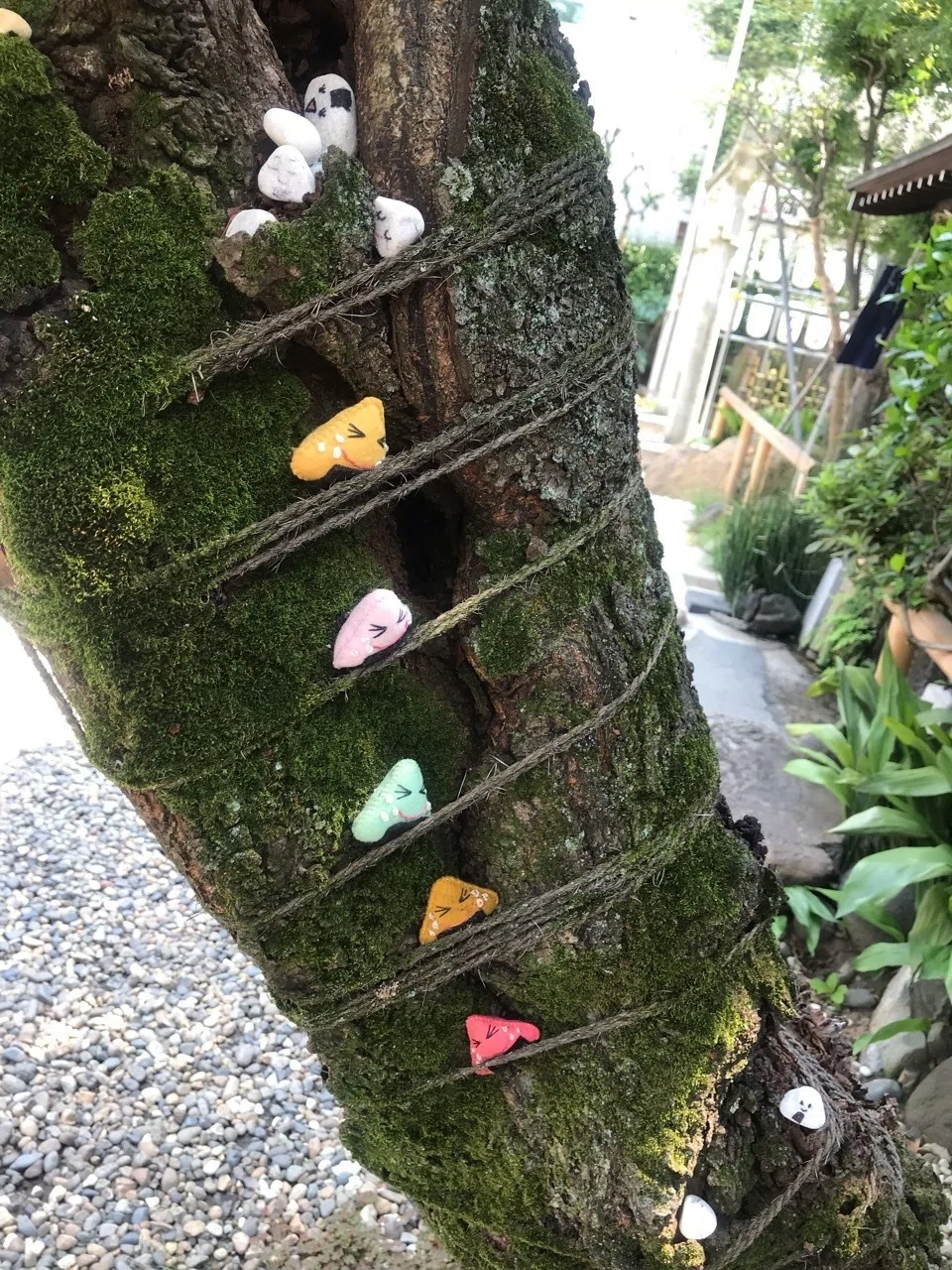でた大吉！おむすび神社〜なす味噌編〜｜ハスつか