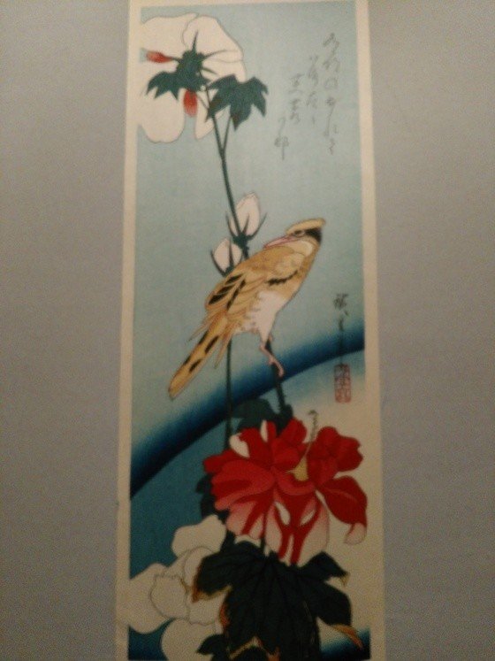 afcc3943eb74813ffbbd3102562639