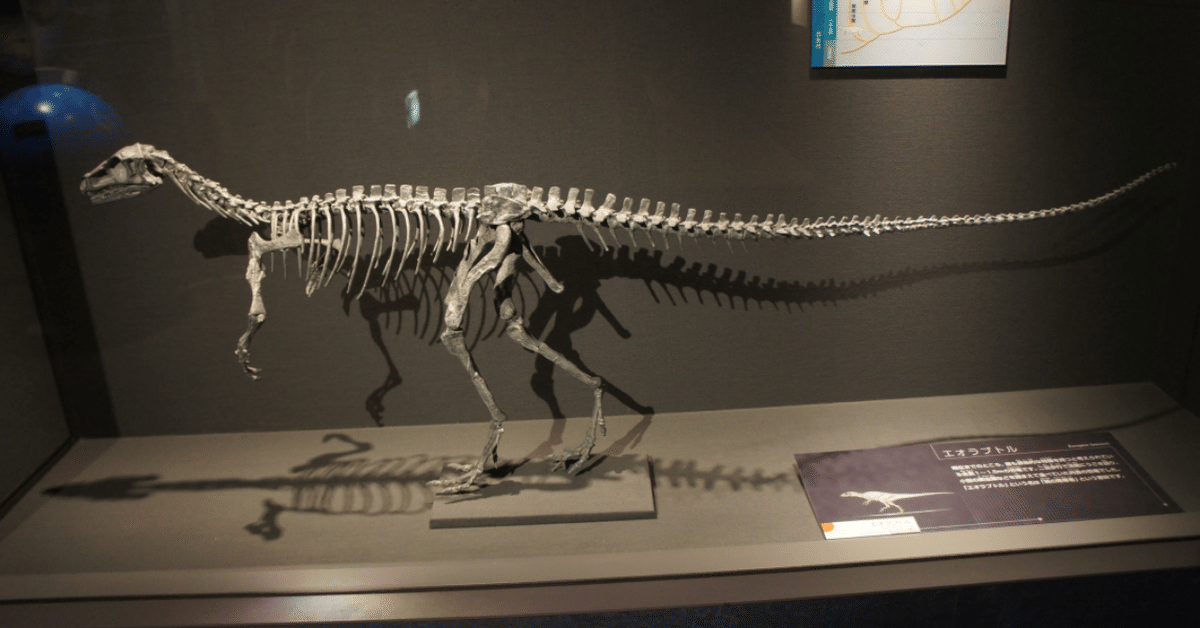 化石 中国 魚の化石 中国科学者 2億年前の巨大魚竜化石を再び発見