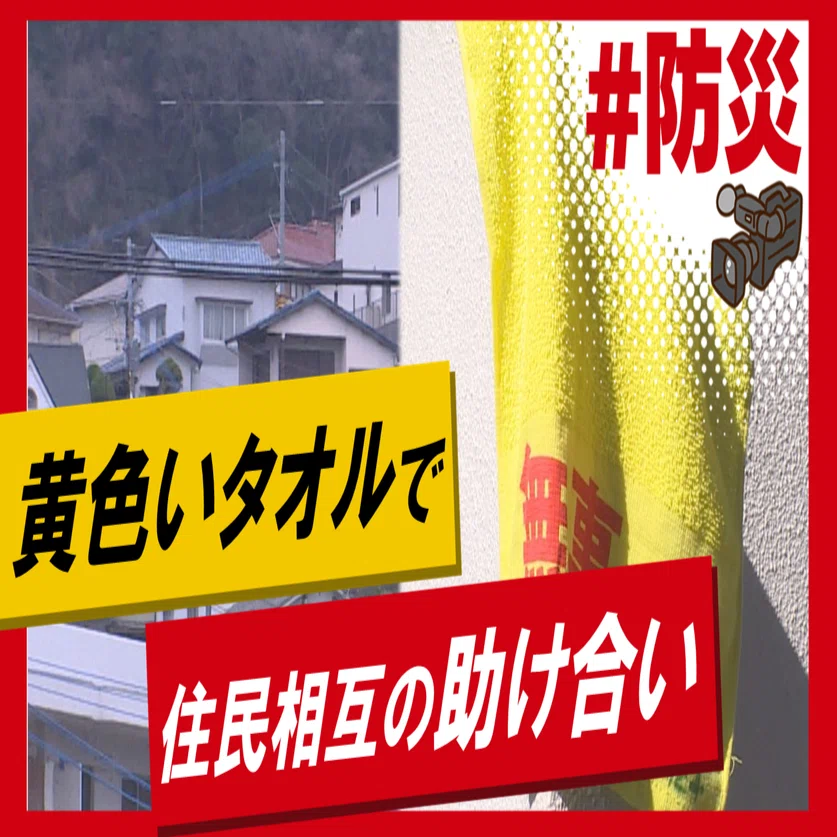 3分動画】