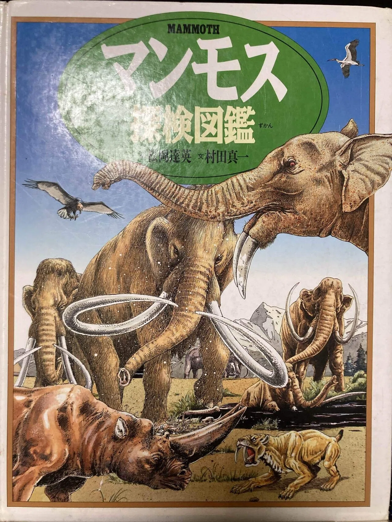 開催まであと19日！[リュウの恐竜展小話]その⑫｜リュウの恐竜展