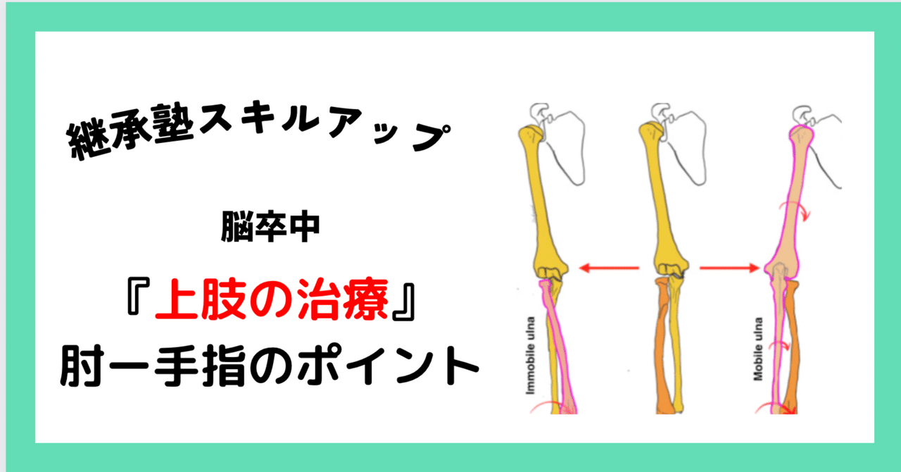 機能解剖学に基づいた手指・肘関節の治療戦略　DVD　柔整　鍼灸　理学療法　リハ 81i1Kd-XbZL.jpg