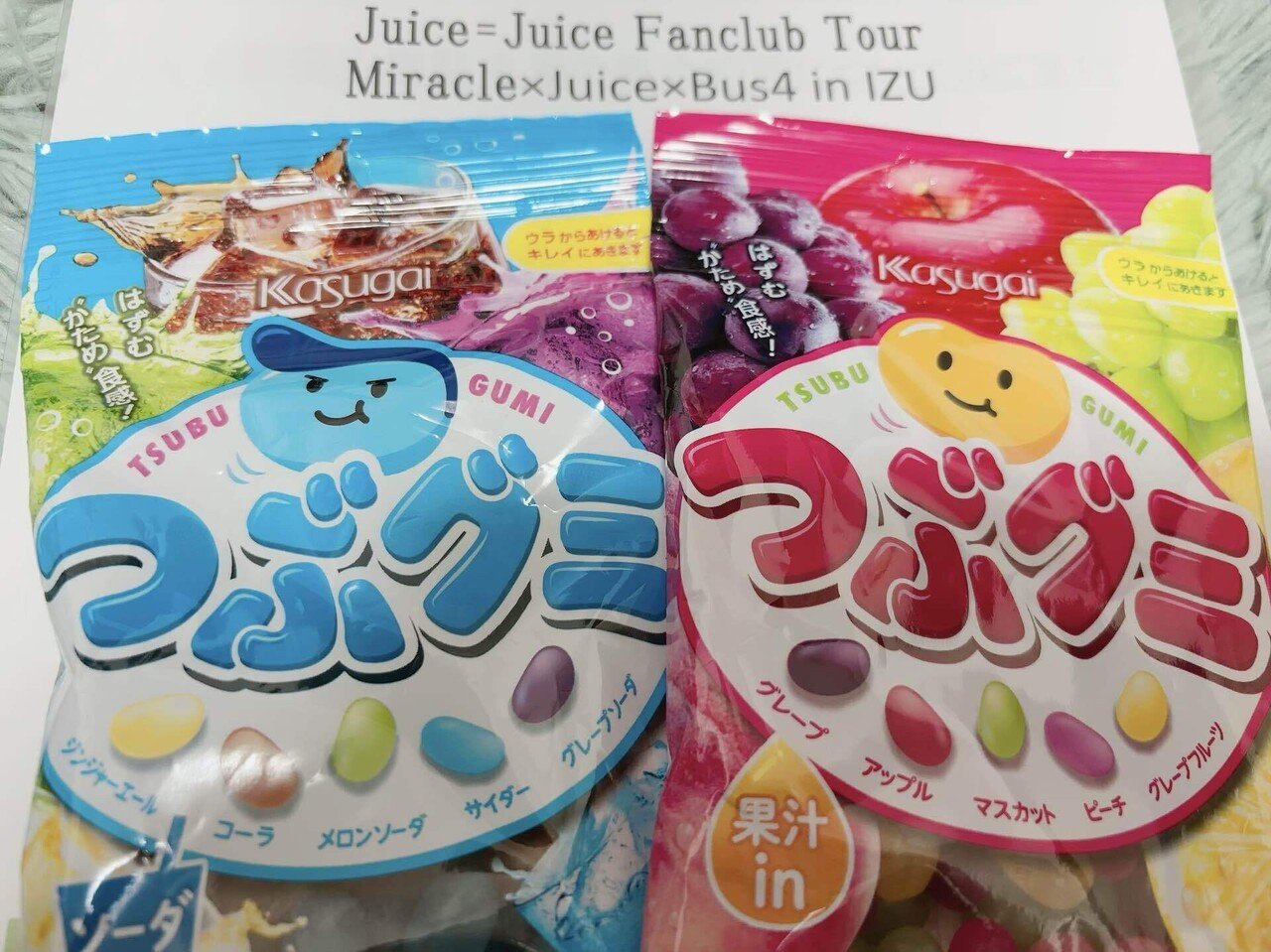 推し（Juice=Juice）と行く、伊豆バスツアー備忘録｜うーた