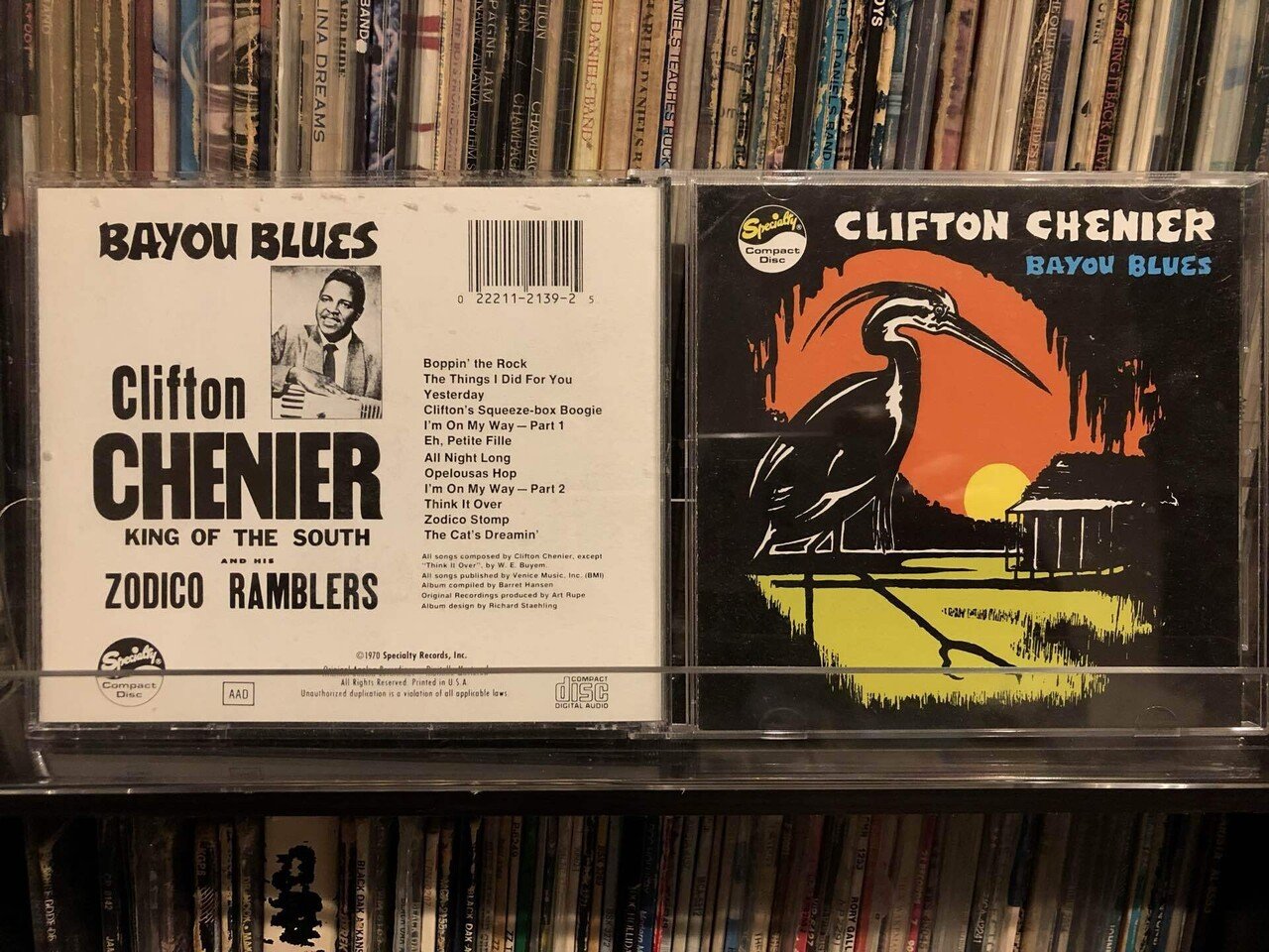 bayou 英語1枚 bayou 英語1枚 MTG Bayou 英語 SP