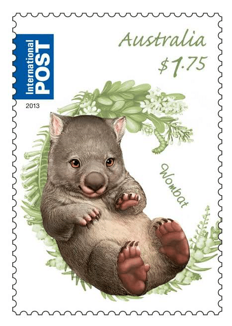 WOMBAT｜EGGSEED
