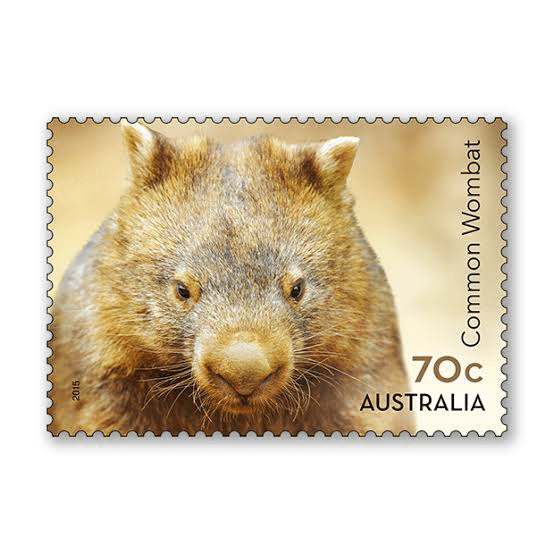 WOMBAT｜EGGSEED