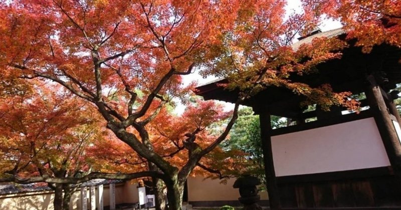 鎌倉時代の僧侶から受け取った、悩める者へのアドバイス