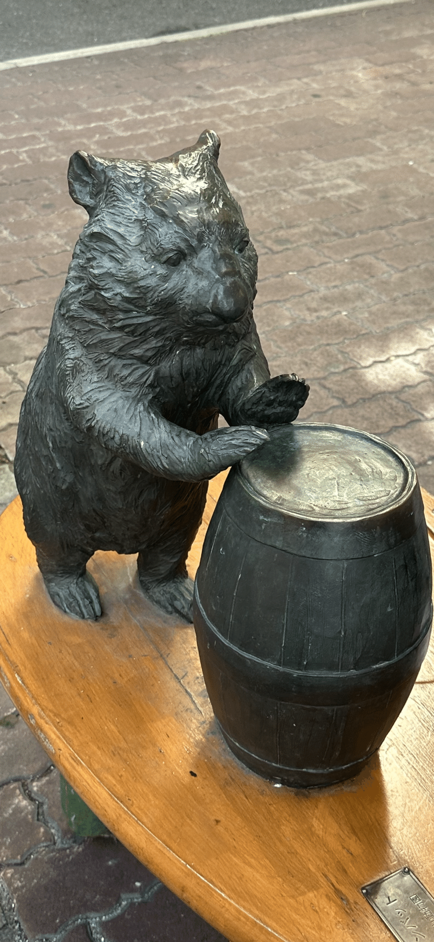 WOMBAT｜EGGSEED