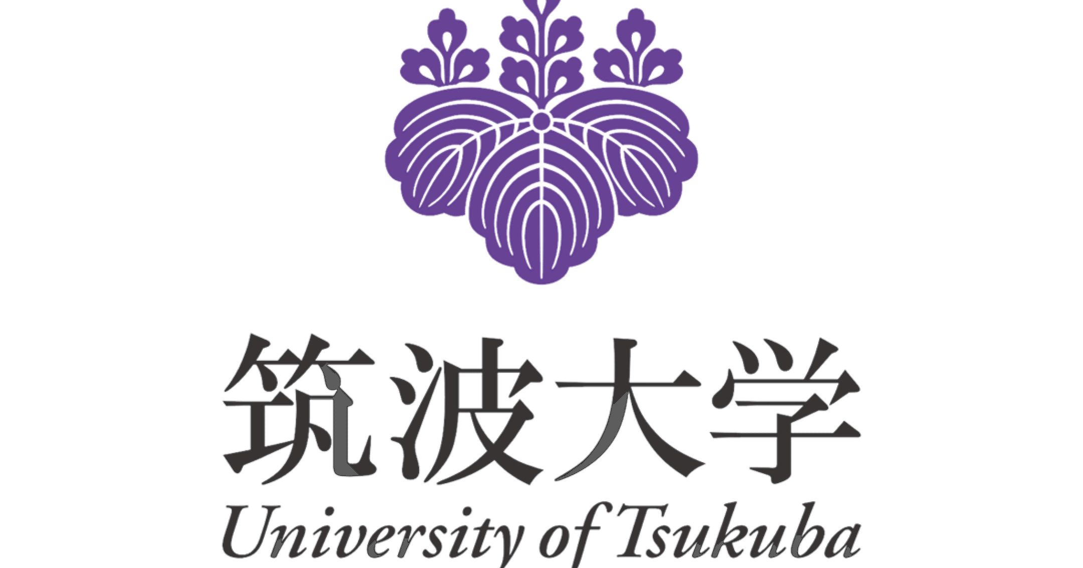 ある灘高生の筑波大学2024医学部一般入試 〜試験中の葛藤を実況