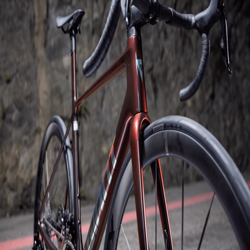 店頭在庫限定 先行予約特典』ALL NEW TCR 店頭試乗車スペシャル