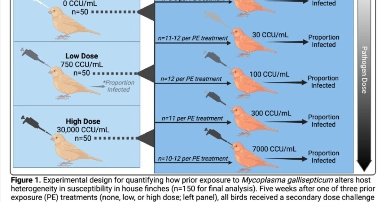 火災による煙への曝露がもたらす可能性のある健康リスクを調べる