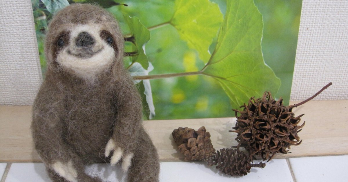 ナマケモノの生き方🐒 ｜S o t t o