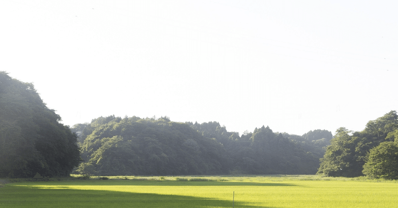 【客観的な視点でみていく】