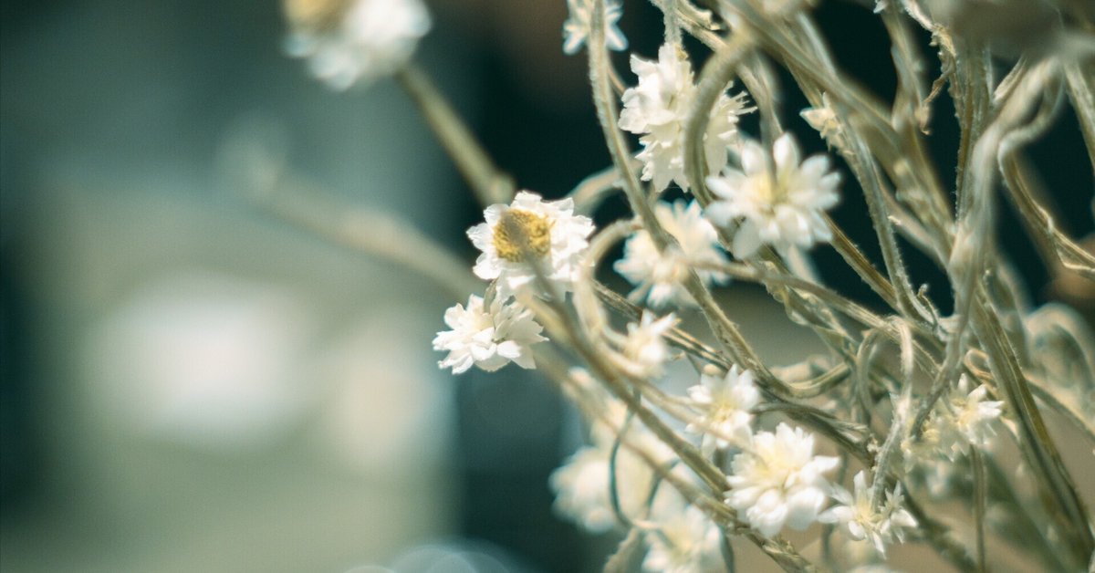 oldlens (@oldlens) / X