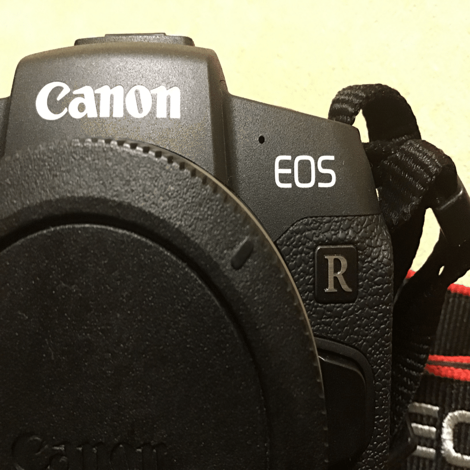 約2000ショット‼︎】 Canon eos RP ボディ 本体 CANON EOS RP ボディ