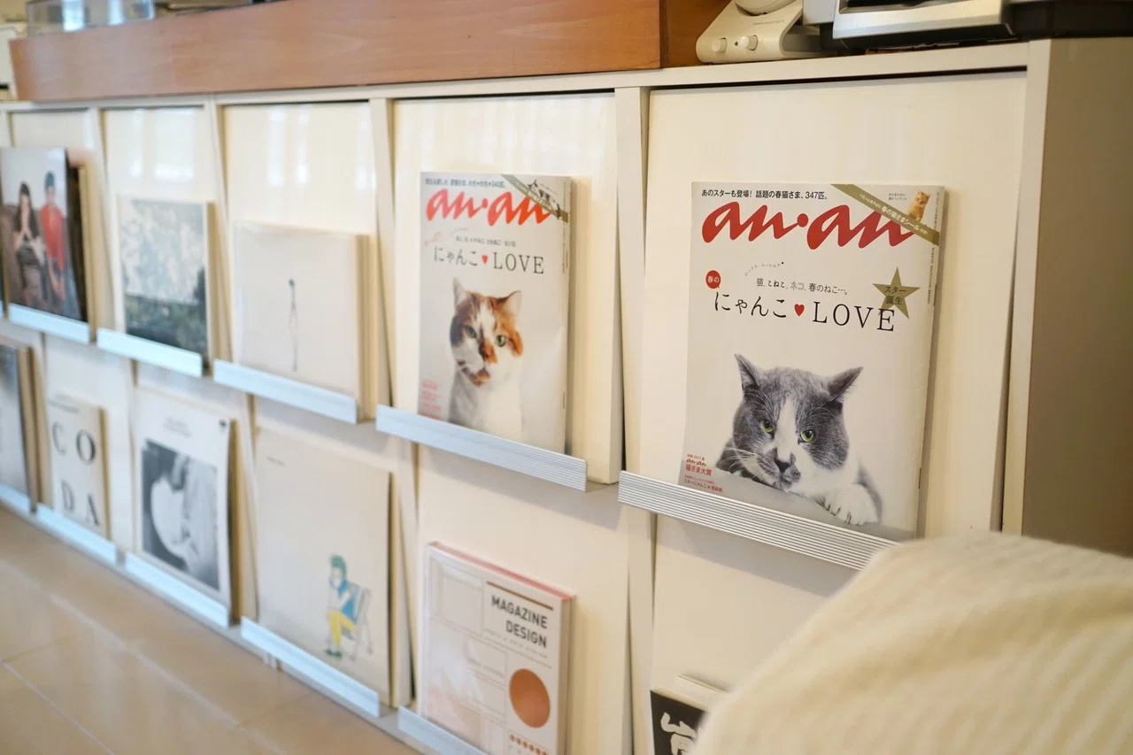 山からやって来たビビり猫「くまお」。完全室内飼いで、妹分と穏やかに