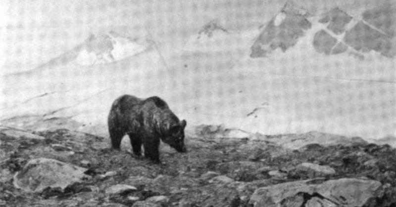 グリズリーマン ヴェルナー ヘルツォーク 映画日記 翠星倶楽部 note