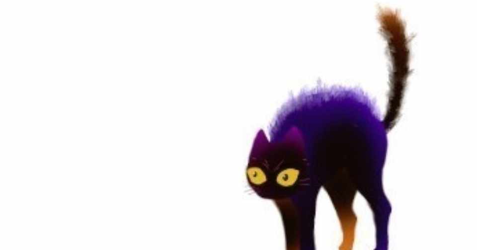 元損害保険会社の人間が語る 猫の威嚇 む ん Note