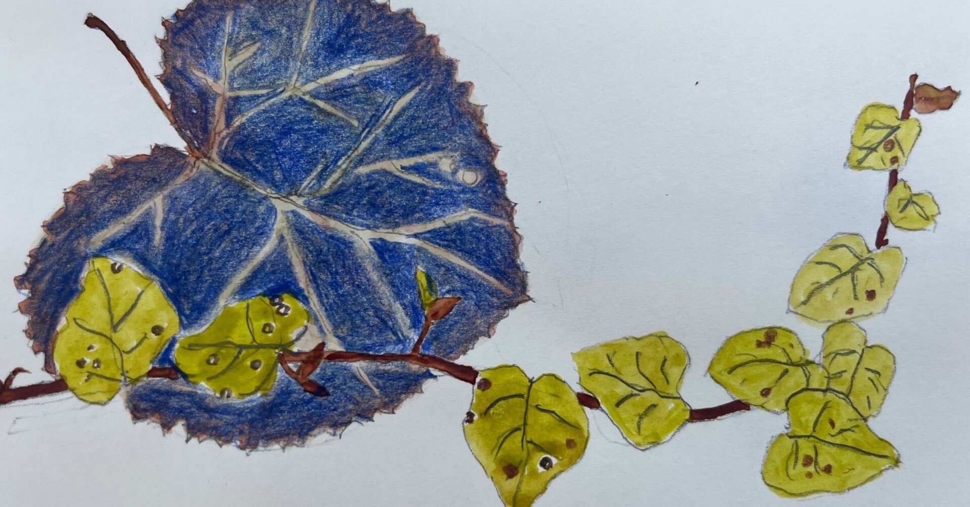 0750c54212a404c51ddc09bec2aec7