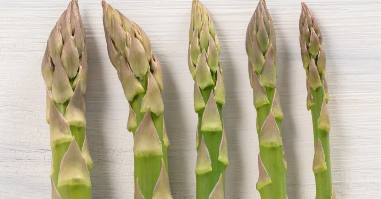 If you're unsure about which asparagus size to choose｜アスパラ