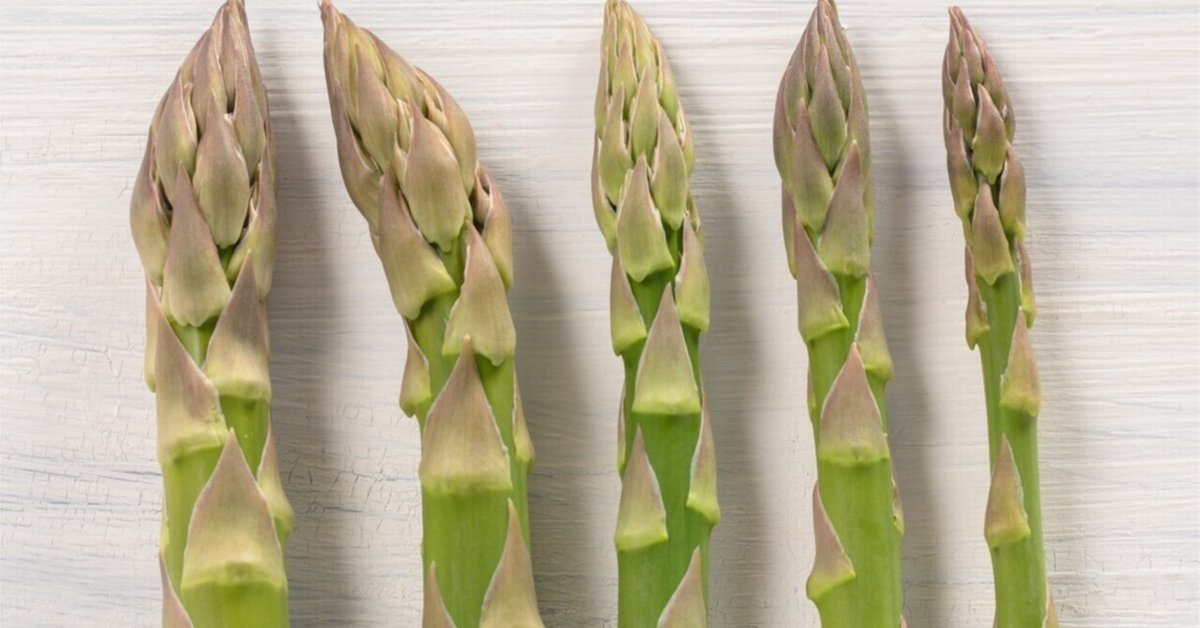 アスパラのサイズ選びに迷ったら…｜アスパラガスのうちやま農園